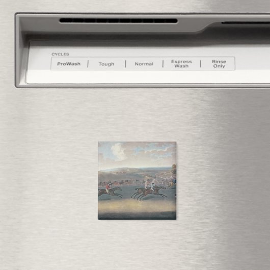 Derby Sweepbelang, 1791/2 Magneet (Insitu (Vaatwasser))