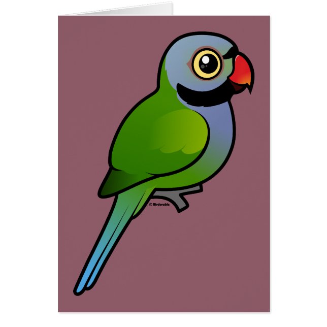 Derbyan Parakeet (Voorkant)