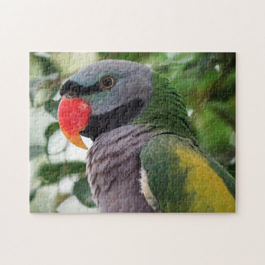 Derbyan Parakeet Jigsaw Puzzle Legpuzzel (Horizontaal)