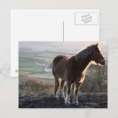 Derbyshire, Engeland Briefkaart (Voorkant / Achterkant)