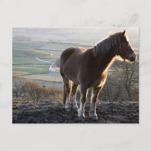 Derbyshire, Engeland Briefkaart (Voorkant)