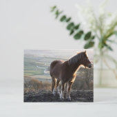 Derbyshire, Engeland Briefkaart (Staand voorkant)