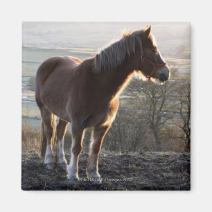 Derbyshire, Engeland Magneet