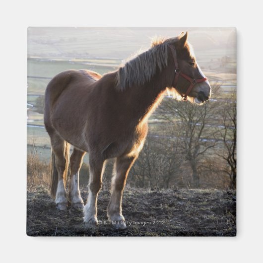 Derbyshire, Engeland Magneet (Voorkant)