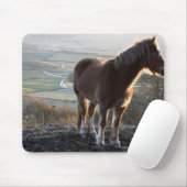 Derbyshire, Engeland Muismat (Met muis)