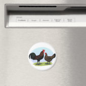 Derbyshire Redcap Fowl Magneet (Insitu (Vaatwasser))