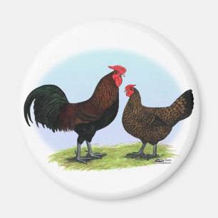 Derbyshire Redcap Fowl Magneet