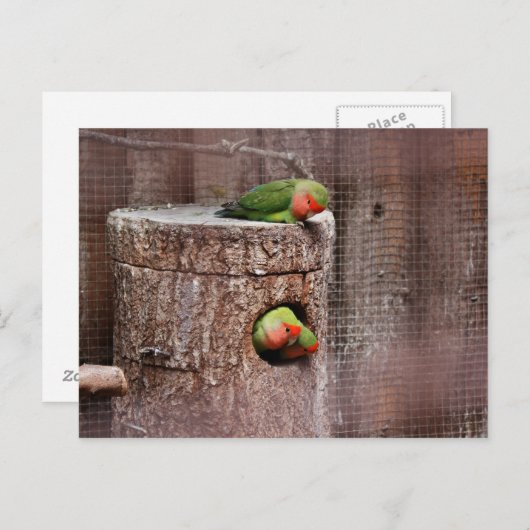 Derde Briefkaart van loopvezel (Voorkant / Achterkant)