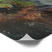 Derde Oog Mystieke Palm Poster (Hoek)