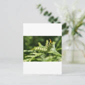 derde pijler 2012 briefkaart (Staand voorkant)