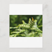 derde pijler 2012 briefkaart (Voorkant)