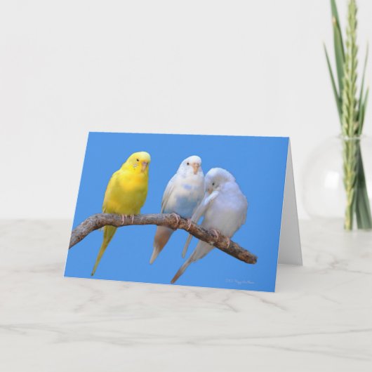 derde wiel kaart (Voorkant)