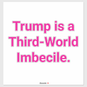 Derdewereld Imbeciel Trump Hankamer Artjunkhaus Sticker