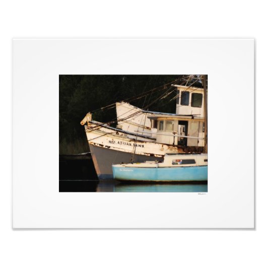 Derelict Vist Boats Foto Afdruk (Voorkant)