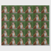 Dergelijk vierkant verpakkingspapier cadeaupapier (Vlak)