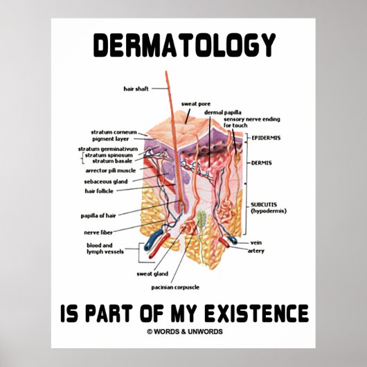 Dermatologie maakt deel uit van mijn bestaan (anat poster (Voorkant)