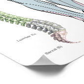 Dermatomes Myotomes Deep Peesreflexen Poster (Hoek)