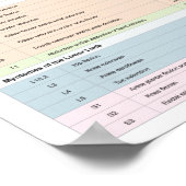 Dermatomes Myotomes en DTR Poster Chiropractic (Hoek)