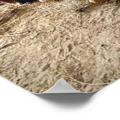 Derp-honden op een tank in de woestijn poster (Hoek)