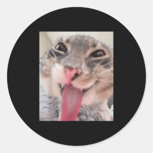 Derpy Cat Tongue Out Meme Grappige Weirdcore Gifts Ronde Sticker