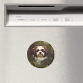 Derpy Shih Tzu Magnet (Insitu (Vaatwasser))