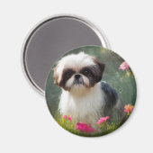 Derpy Shih Tzu Magnet (Voorkant / Achterkant)