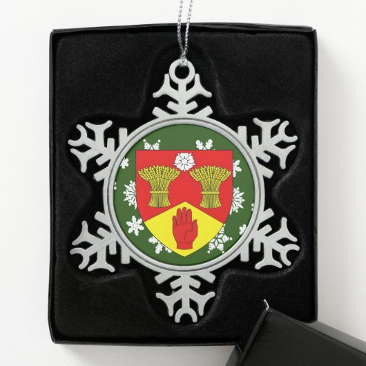 Derry Ireland Crest Irish Tin Sneeuwvlok Ornament (Kistje)