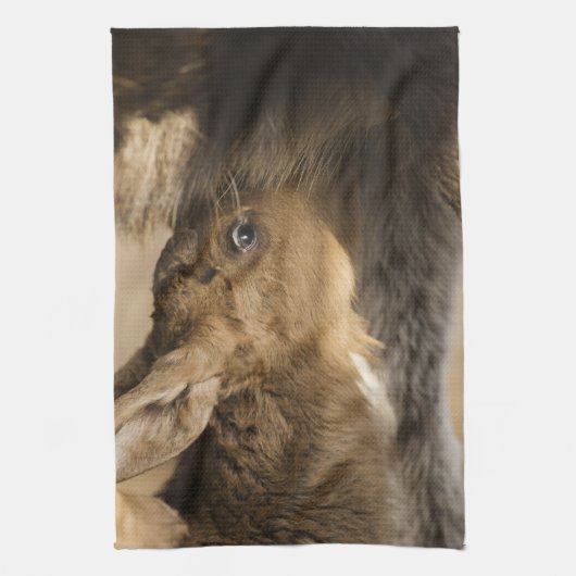 Dersty Moose Calf Kitchen Towel Theedoek (Verticaal)