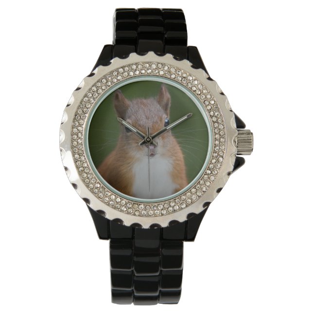 Dersty Squirrel Horloge (Voorkant)