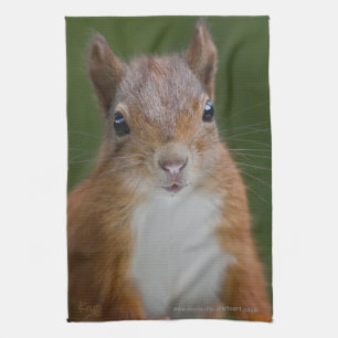 Dersty Squirrel Kitchen Towel Theedoek