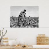 Dertien jaar oud Georgisch veld ploegen Poster (Keuken)