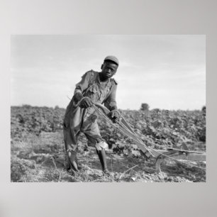 Dertien jaar oud Georgisch veld ploegen Poster