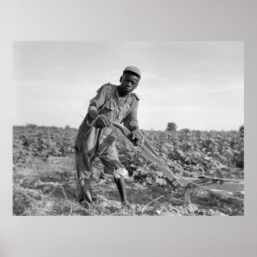 Dertien jaar oud Georgisch veld ploegen Poster (Voorkant)