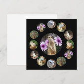 Dertien Meerkats Surprise, flatcard (Voorkant / Achterkant)