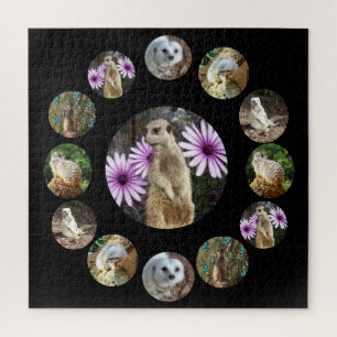 Dertien Meerkats Surprise, Jigzaag Puzzle Legpuzzel