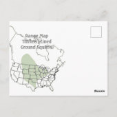 Dertien uitgelijnde vierkant briefkaart (Achterkant)