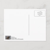Dertig Baby Briefkaart (Achterkant)