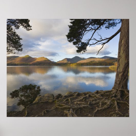 Derwentwater, Lake District, Cumbria, Engeland Poster (Voorkant)