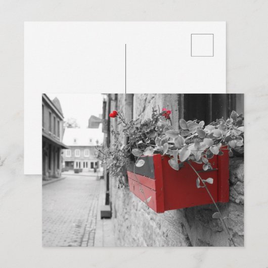 Des fleurs à Montréal Briefkaart (Voorkant / Achterkant)