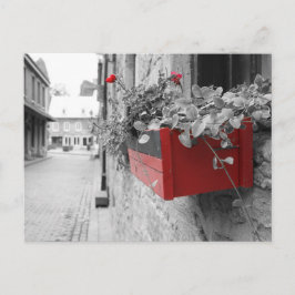 Des fleurs à Montréal Briefkaart