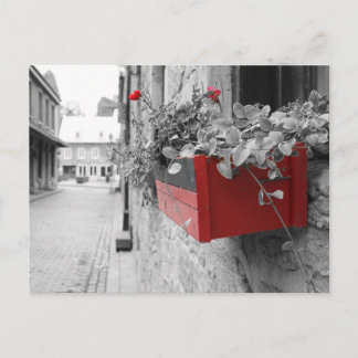 Des fleurs à Montréal Briefkaart
