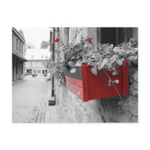 Des fleurs à Montréal