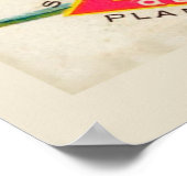 Des Moines, Iowa 1899 Poster (Hoek)