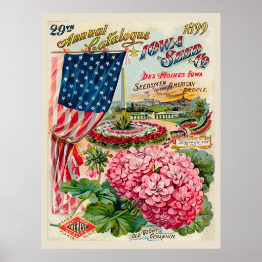 Des Moines, Iowa 1899 Poster (Voorkant)