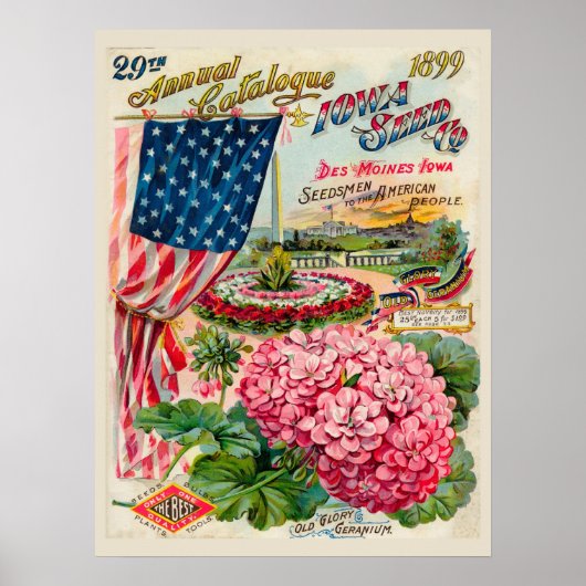 Des Moines, Iowa 1899 Poster (Voorkant)