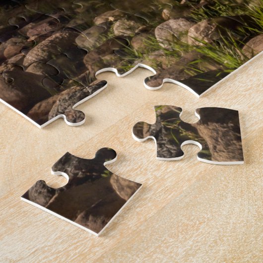 Des Moines skyline 's nachts Legpuzzel (Zijkant)