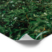 Desal Train Sri lanka Poster (Hoek)