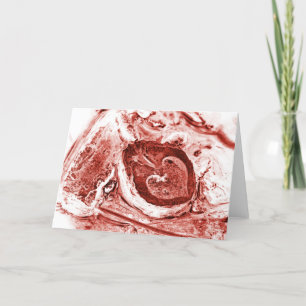 desastreuze feestdagen kaart