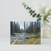 Deschutes in het Little Lava Lake, Oregon Briefkaart (Staand voorkant)