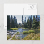 Deschutes in het Little Lava Lake, Oregon Briefkaart (Voorkant / Achterkant)